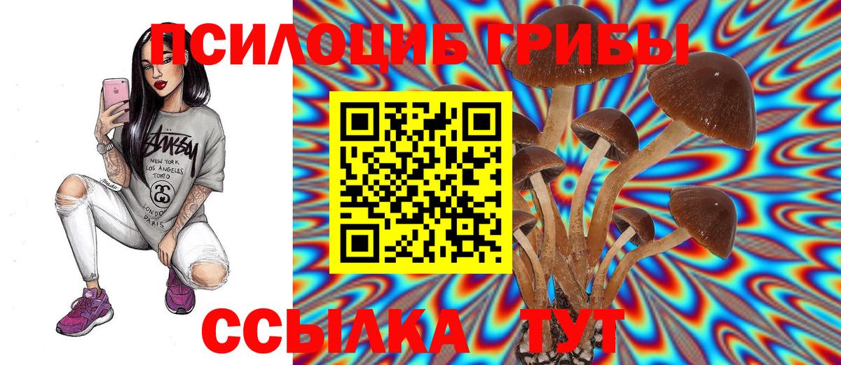 Псилоцибиновые грибы мухоморы Нерюнгри