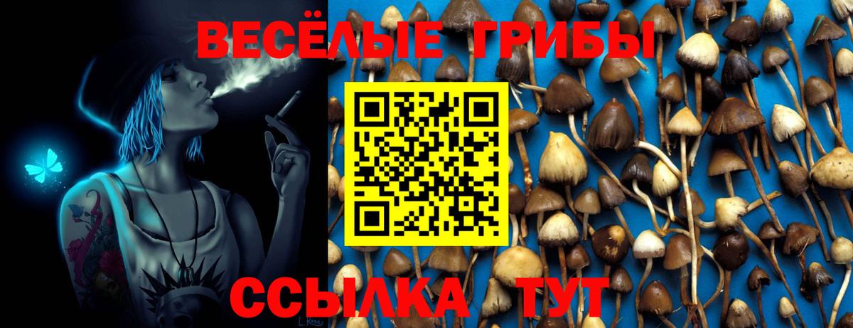 Нерюнгри  Псилоцибиновые грибы Psilocybe  как найти закладки  Вход с VPN 